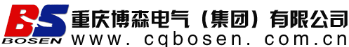 重庆博森电气集团开关有限公司